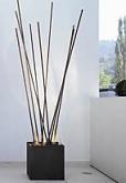 Stabskulptur Six